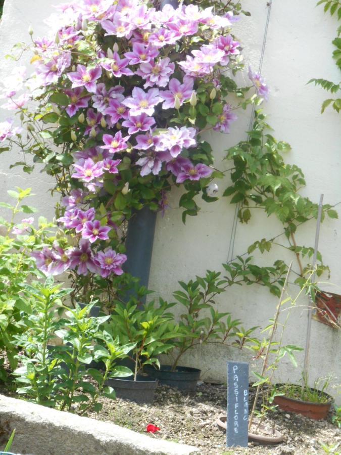 La Mare Aux Fees Bed and Breakfast Huelgoat Eksteriør billede